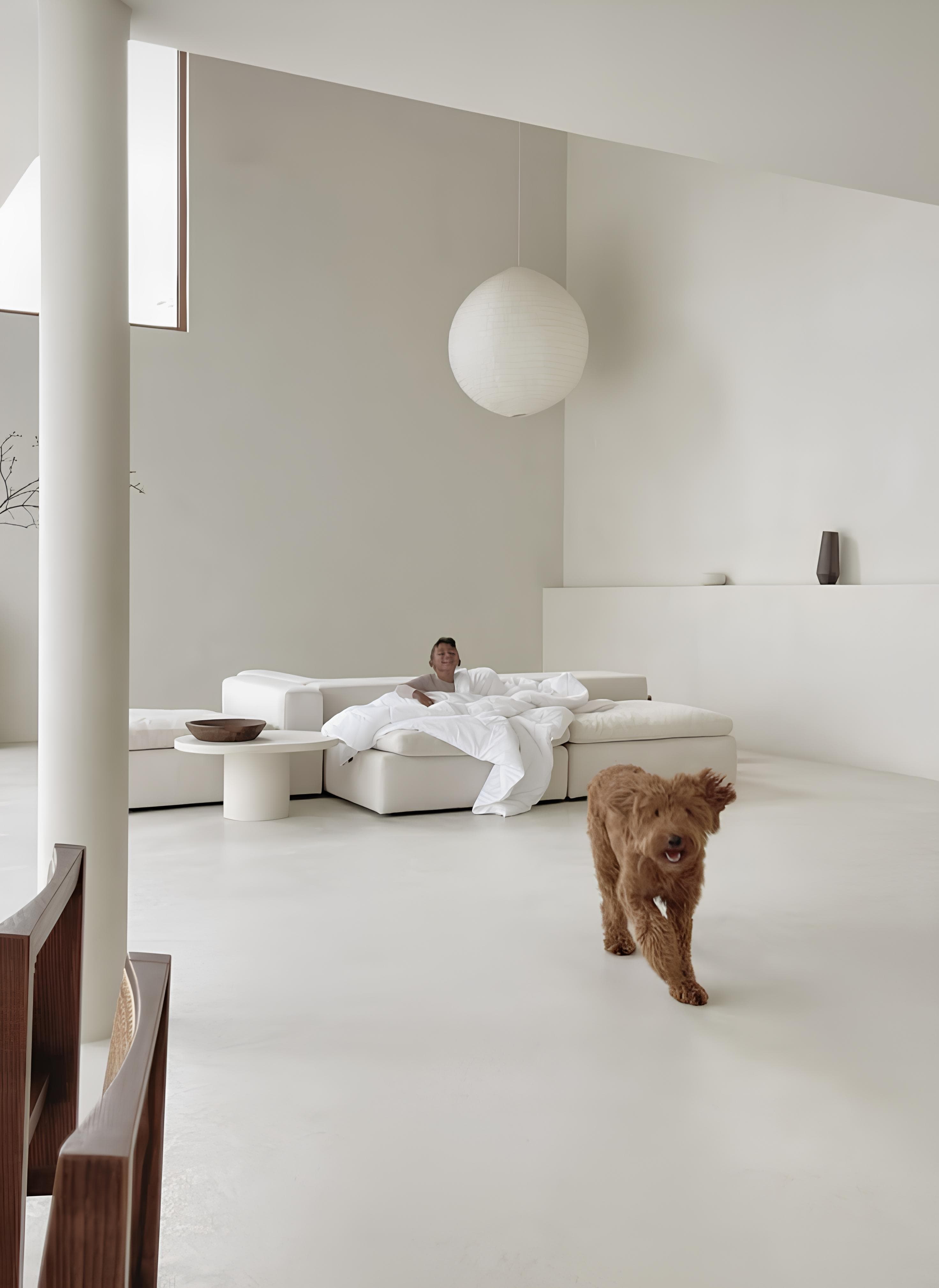 Seamless white microcement flooring in a Riyadh villa featuring a golden doodle dog and modern lounge